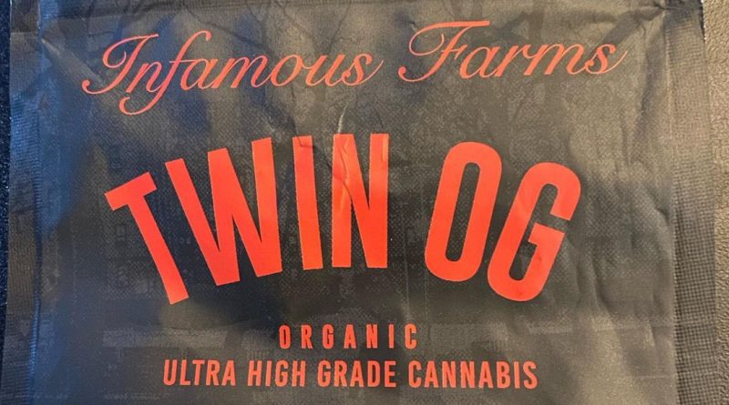 twin og by infamous farms strain review by toptierterpsma