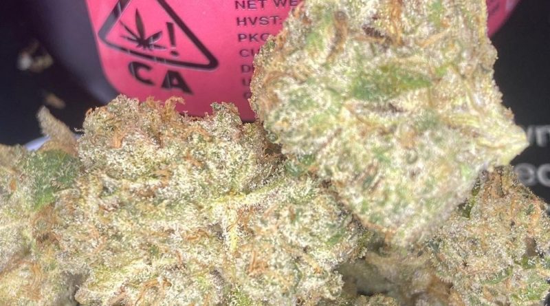 wedding cake by fresh baked strain review by cali_bud_reviews