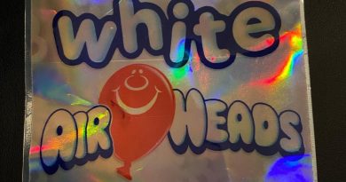 white air heads by trappack strain review by toptierterpsma 2