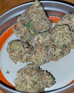 white air heads by trappack strain review by toptierterpsma