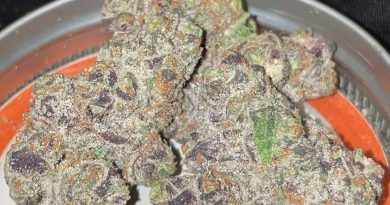 apple fritter from dankdabs strain review by toptierterpsma