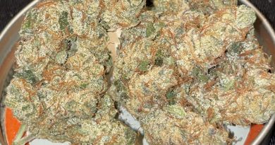 banana bread by boutique smokes train review by toptierterpsma
