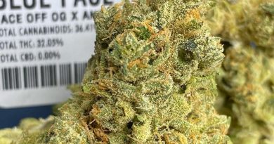 blue face by fig farms strain review by cali_bud_reviews