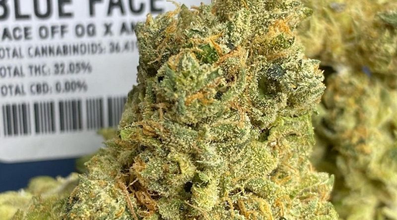 blue face by fig farms strain review by cali_bud_reviews
