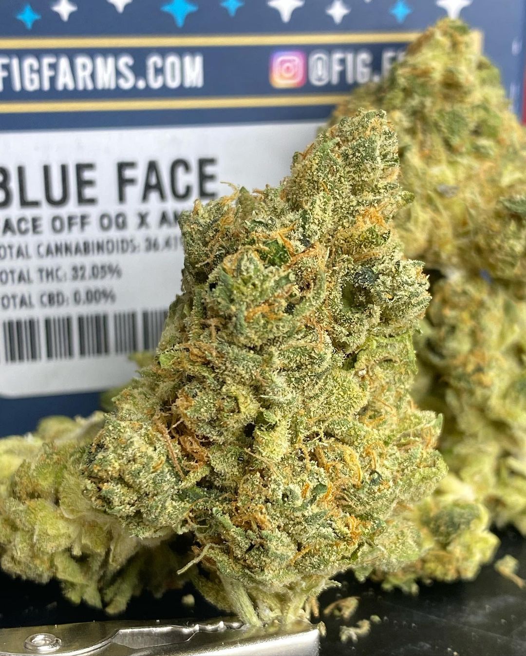 Strain Review Blue Face By Fig Farms The Highest Critic 5047