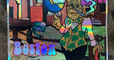 boston silky strain review by toptierterpsma