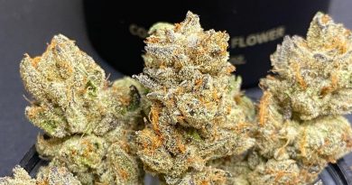 chemtrail og by cream of the crop gardens strain review by cali_bud_reviews