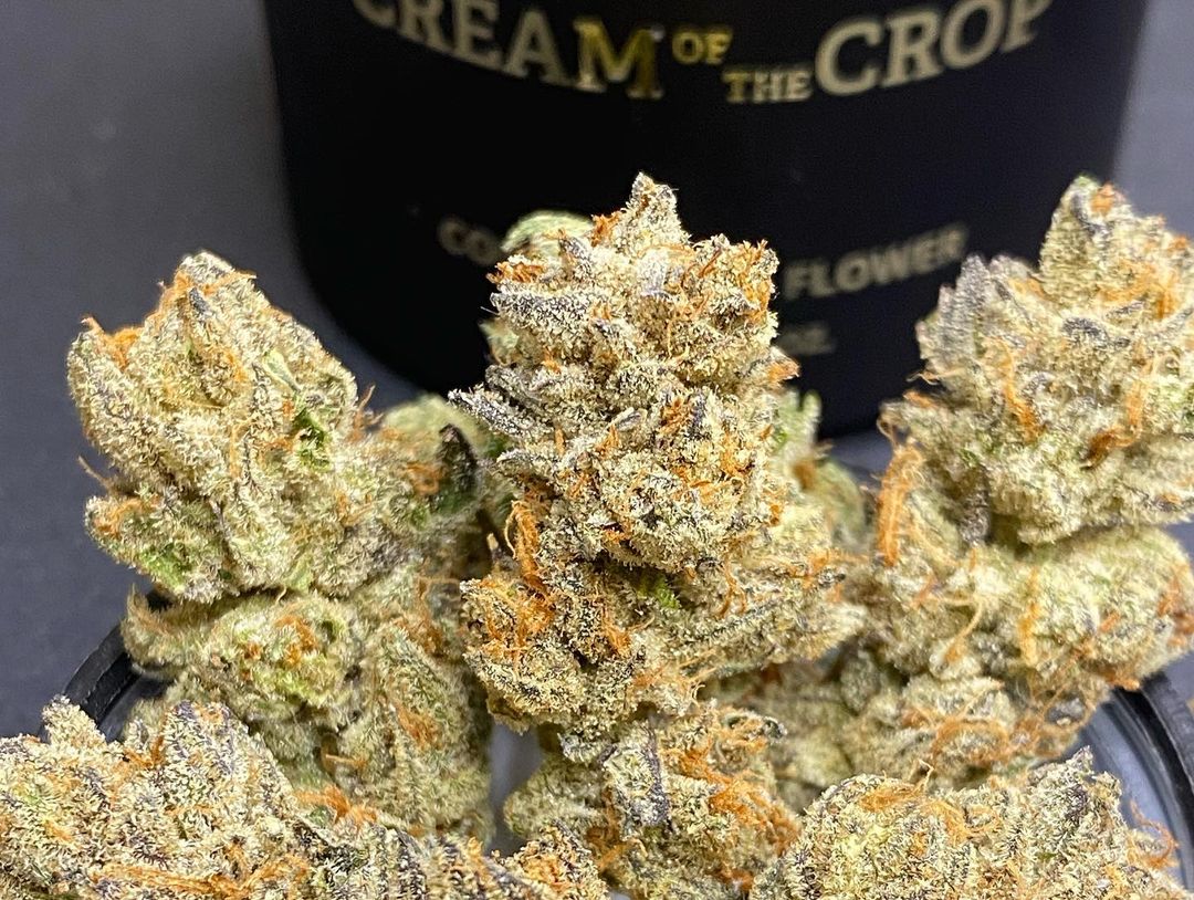 chemtrail og by cream of the crop gardens strain review by cali_bud_reviews