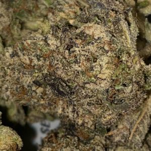 chucky mucky by official gooniez strain review by digital.smoke 2