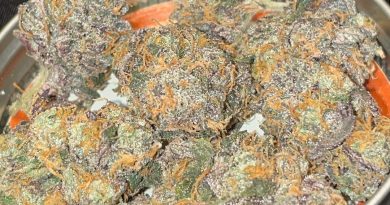 dirty sprite by boutique smoke strain review by toptierterpsma