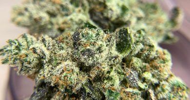 duct tape by trichome farms strain review by pnw_chronic