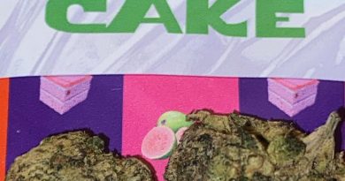 guava cake by corner store hustlas strain review by digital.smoke