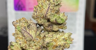 ice cream cake by fresh baked strain review by cali_bud_reviews