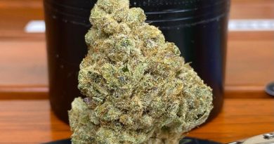 milk and cookies by cream of the crop gardens strain review by cali_bud_reviews