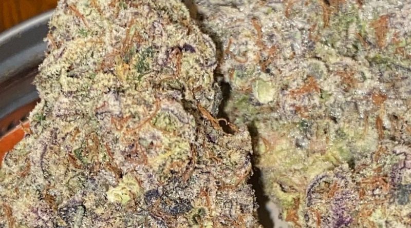 pave by pure and proper strain review by digital.smoke