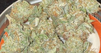petro chem by dank dabs strain review by toptierterpsma