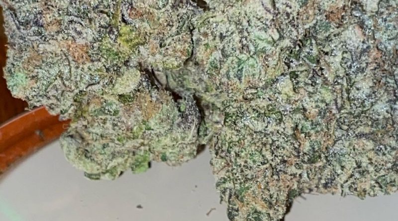 runthol by pure and proper strain review by digital.smoke