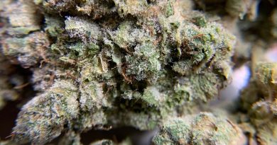 supreme ruckus by happy daddy products strain review by pnw_chronic