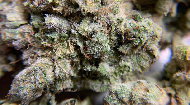 supreme ruckus by happy daddy products strain review by pnw_chronic