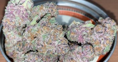 trop and cherries by the real mccoy strain review by pnw_chronic
