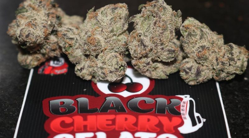 black cherry gelato from the flowery strain review by biscaynebaybudz