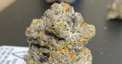 blowin biscotti by connected california strain review by cali_bud_reviews 2