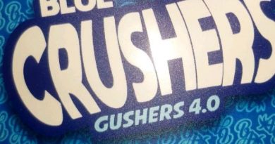 blue crushers gushers 4.0 by big al's exotics strain review by pressurereviews