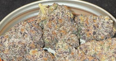 butter breath deluxe by frew tree strain review by toptierterpsma