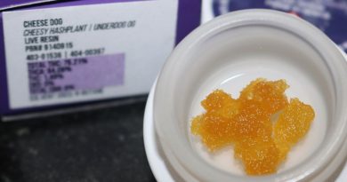 cheese dog live resin by viola concentrate review by biscaynebaybudz