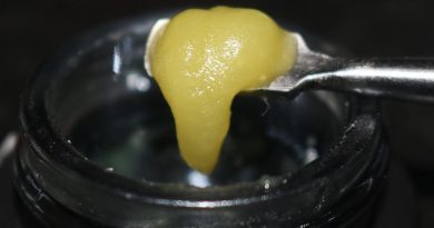 dolato live rosin jam by one plant concentrate review by biscaynebaybudz