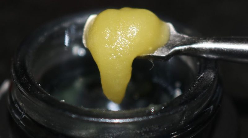 dolato live rosin jam by one plant concentrate review by biscaynebaybudz