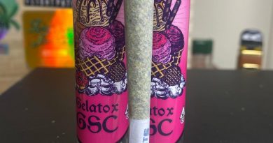 gelato x gsc pre-roll by flightpath review by cali_bud_reviews