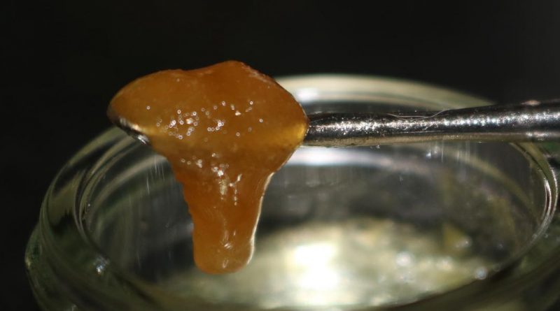 gmo live rosin jam by one plant concentrate review by biscaynebaybudz