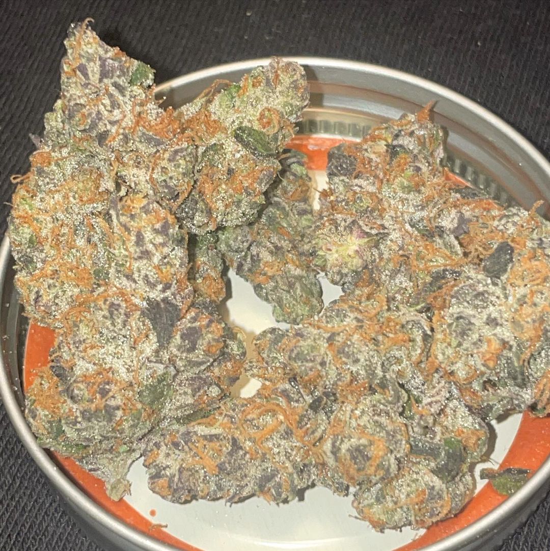 strain-review-gmo-rootbeer-by-skunktek-x-mean-gene-from-mendocino