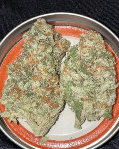 grandpa's stash by stoner girl grows strain review by toptierterpsma 2