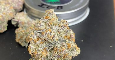 ice cream biscotti by 9 mile farm strain review by cali_bud_reviews