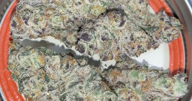 leftovers by LUVLI strain review by pnw_chronic