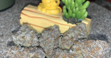 mendo breath by trichome farms strain review by pnw_chronic