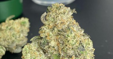 mount zereal kush by cannabiotix strain review by cali_bud_reviews