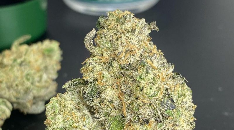 mount zereal kush by cannabiotix strain review by cali_bud_reviews