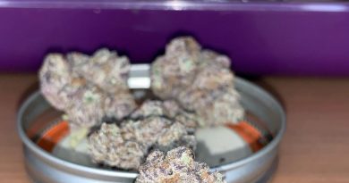 obama kush by trichome farms strain review by pnw_chronic 2