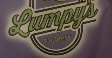 passion plum by lumpy's flowers strain review by pressurereviews
