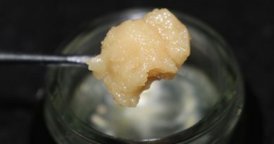 queso live rosin by one plant concentrate review by biscaynebaybudz