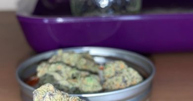 runtz buttons #3 by eugreen farms strain review by pnw_chronic
