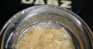 sundae biscotti hash rosin by rabz dabz concentrate review by biscaynebaybudz