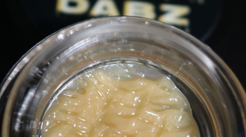 sundae biscotti hash rosin by rabz dabz concentrate review by biscaynebaybudz