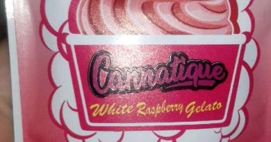 white raspberry gelato by cannatique strain review by pressurereviews