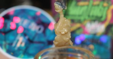 xeno live rosin by kalya extracts concentrate reivew by biscaynebaybudz