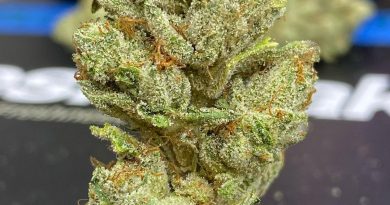 yoda og by fresh baked strain review by cali_bud_reviews