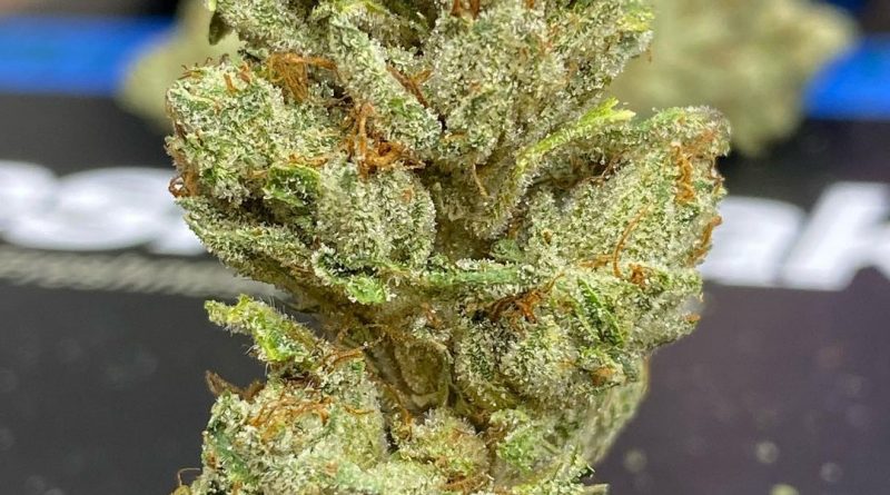 yoda og by fresh baked strain review by cali_bud_reviews